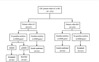 Comparison Between Familial Colorectal Cancer Type X and Lynch Syndrome: Molecular, Clinical, and Pathological Characteristics and Pedigrees